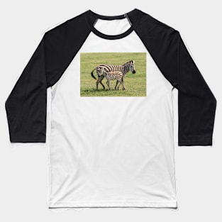 Zebra, Adult and Foal, Ngorongoro Crater, Tanzania Baseball T-Shirt